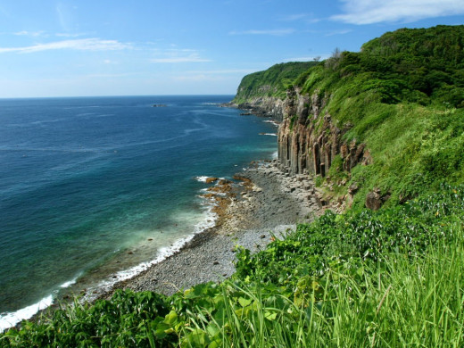 49355 (a): :1024x768